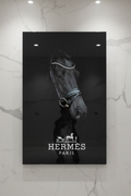 Hermès cheval plexiglass sans reflets